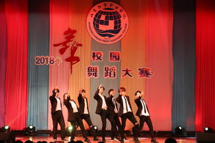 第十五屆大學(xué)生文化藝術(shù)節(jié)“舞動山外”舞蹈大賽圓滿落幕