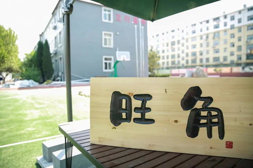 東營藝術(shù)生文化課輔導(dǎo) 理性選擇與科學(xué)備考——以濟(jì)南立行學(xué)?？萍贾笇?dǎo)為例