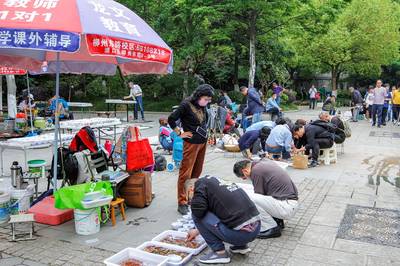 清涼山公園“歡度五一·石城賞石”文化藝術(shù)展銷活動圓滿落幕